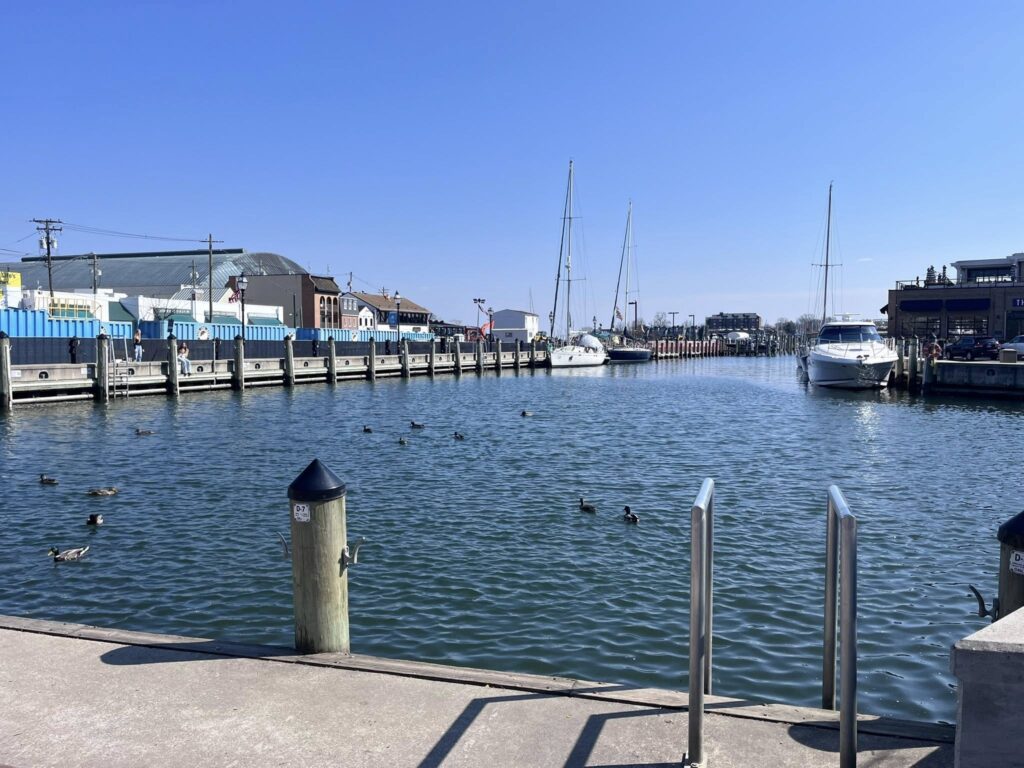 The Annapolis harbor