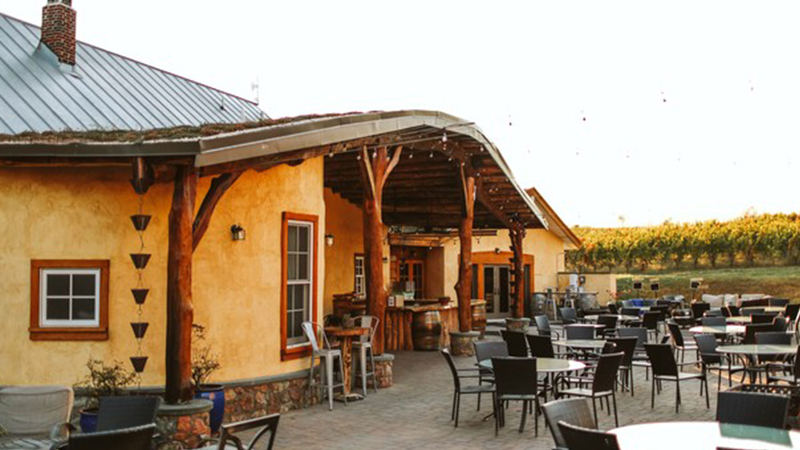 Black ankle vinyard outside seating with vineyards in the background
